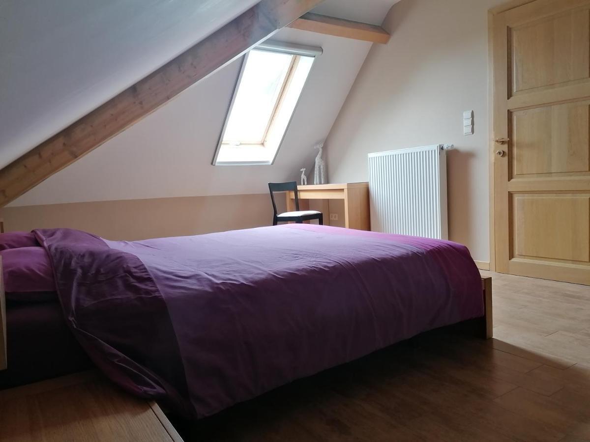 L'Atelier D'Arthur - Gite Chaleureux Avec Jacuzzi. Tenneville Eksteriør billede